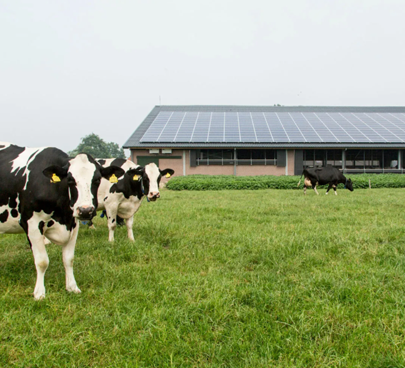 Huge Energy Savings